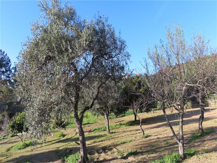 Image No.4-Property for sale