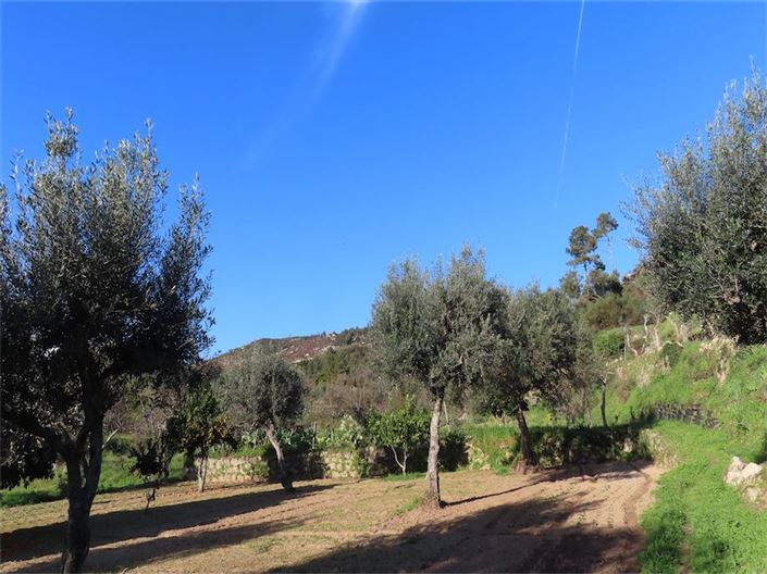 Image No.5-Property for sale