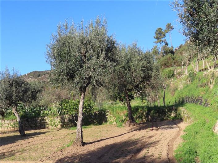 Image No.6-Property for sale