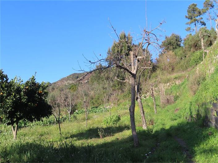 Image No.7-Property for sale