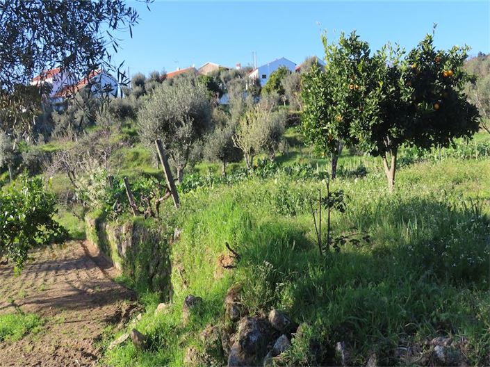 Image No.8-Property for sale