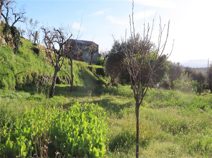 Image No.10-Property for sale