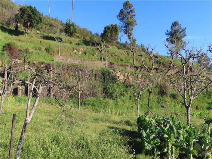 Image No.12-Property for sale