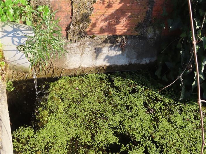 Image No.14-Property for sale