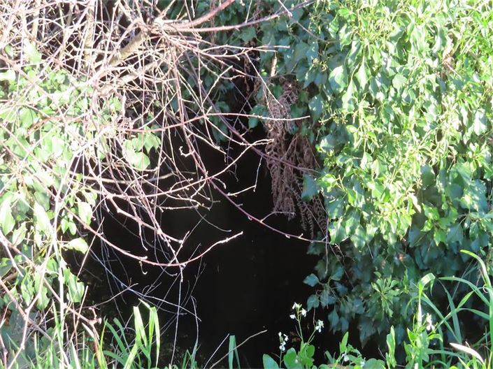 Image No.16-Property for sale