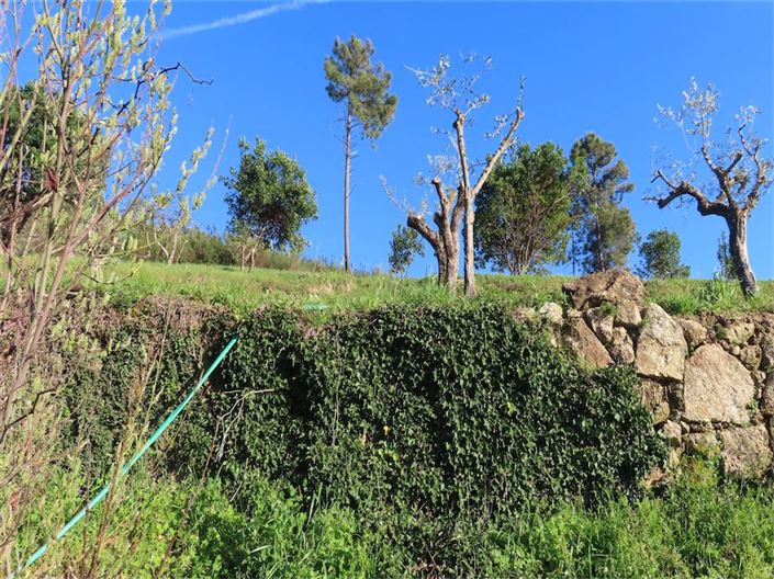 Image No.17-Property for sale