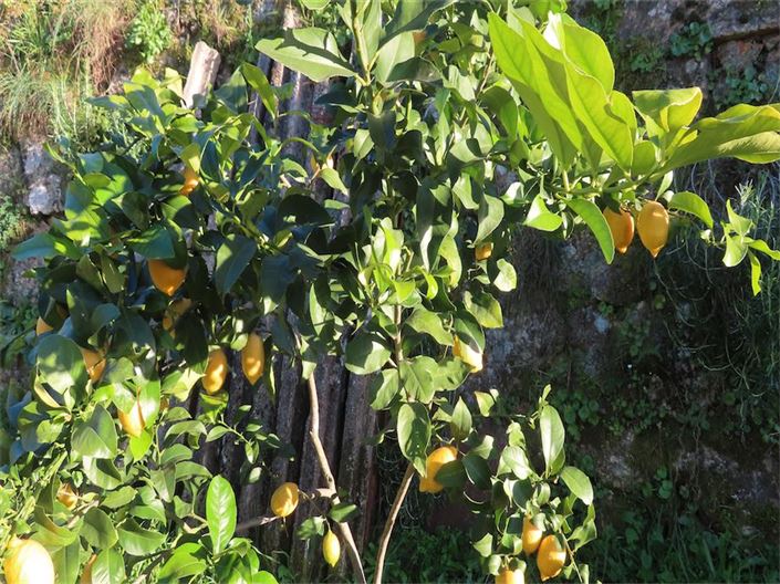 Image No.19-Property for sale