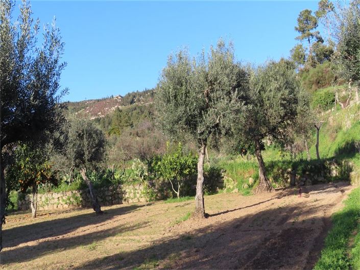 Image No.20-Property for sale