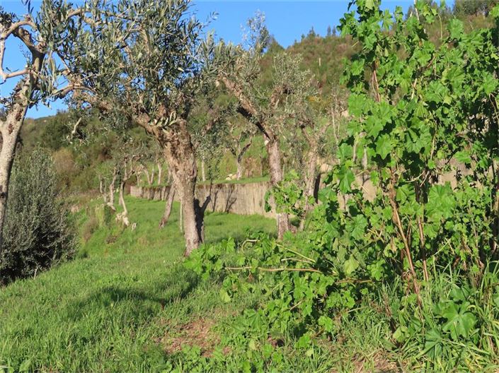 Image No.21-Property for sale