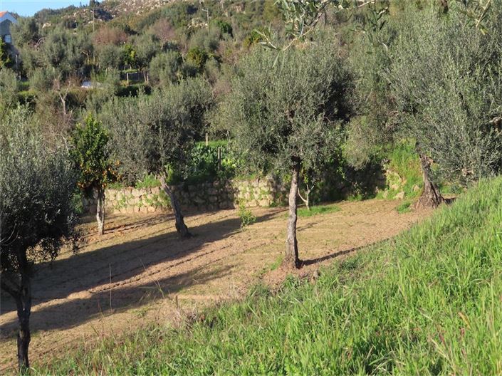 Image No.22-Property for sale