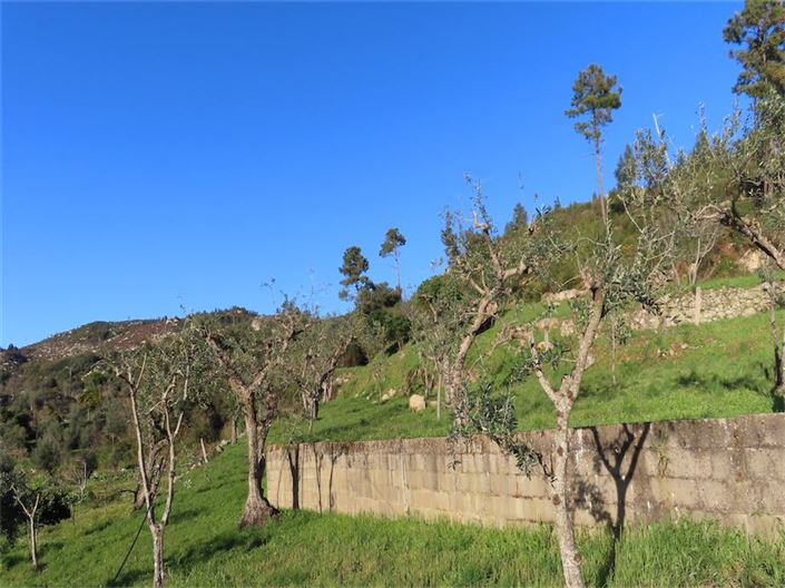 Image No.25-Property for sale