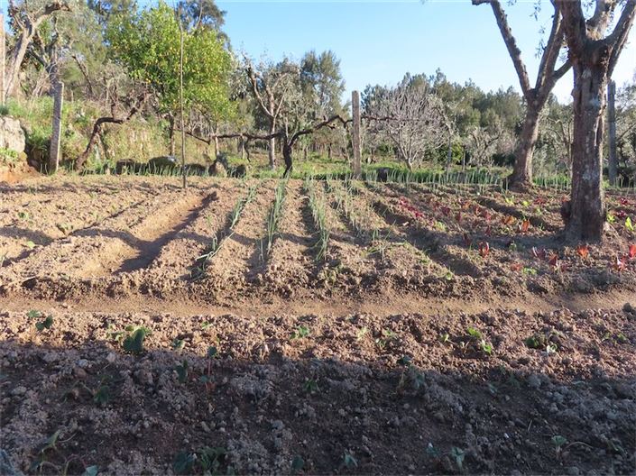 Image No.27-Property for sale