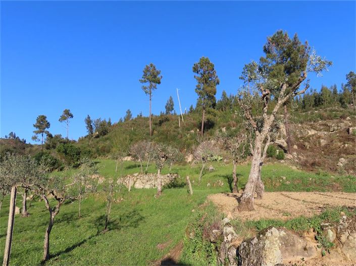 Image No.28-Property for sale