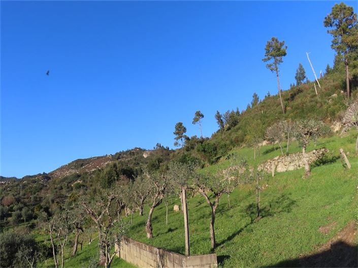 Image No.29-Property for sale