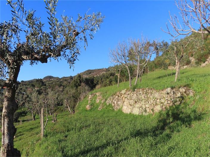 Image No.30-Property for sale