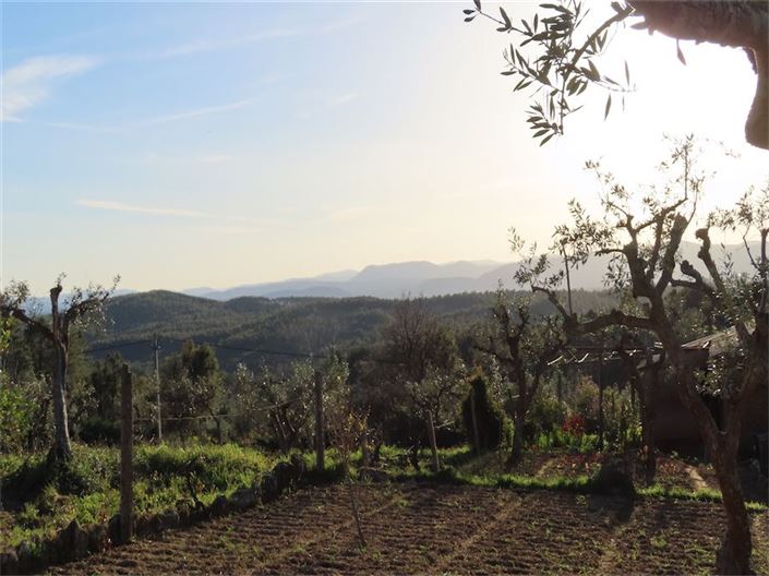 Image No.31-Property for sale