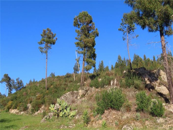 Image No.33-Property for sale