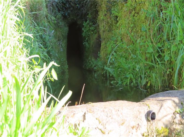 Image No.3-Property for sale