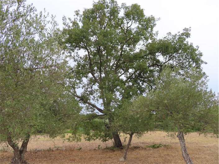 Image No.8-Property for sale