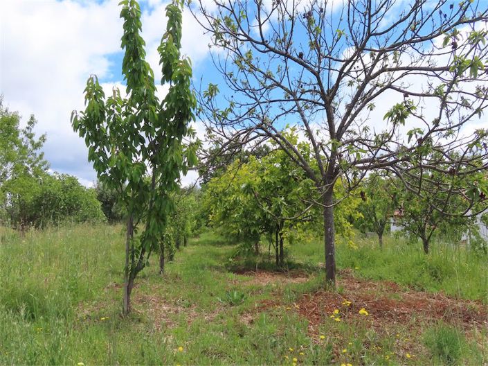 Image No.35-5 Bed Property for sale