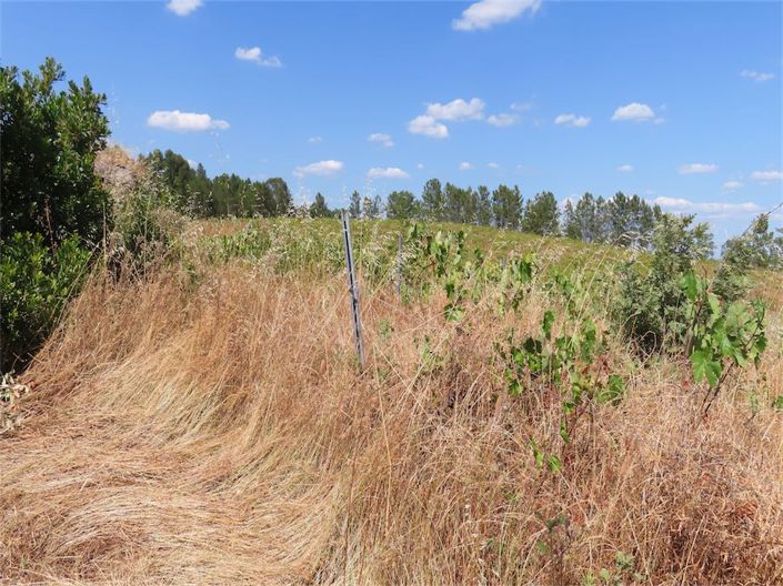 Image No.12-Property for sale