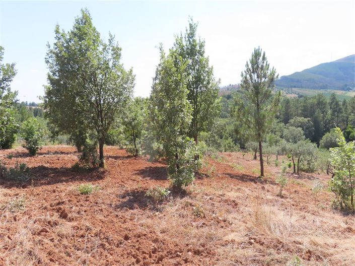 Image No.17-Property for sale