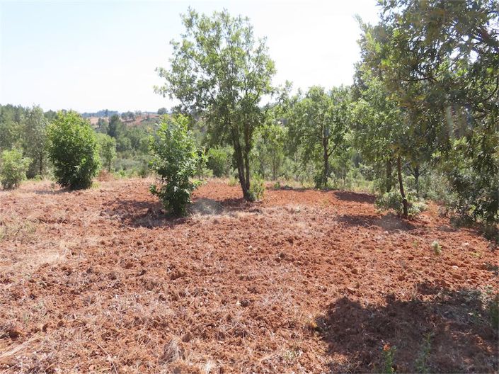 Image No.18-Property for sale