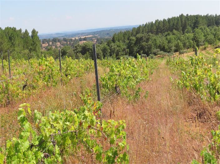 Image No.2-Property for sale