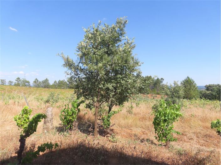 Image No.29-Property for sale