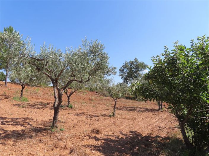 Image No.32-Property for sale