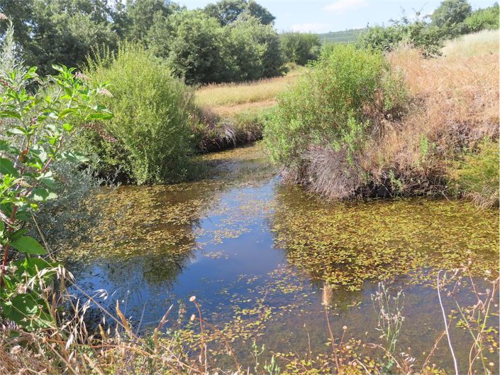 Image No.38-Property for sale