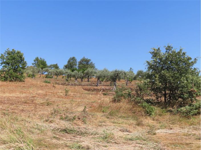 Image No.39-Property for sale