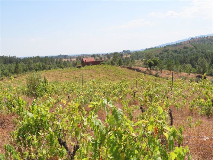 Image No.4-Property for sale