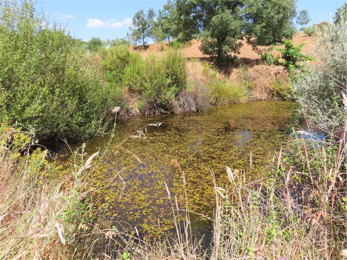 Image No.41-Property for sale