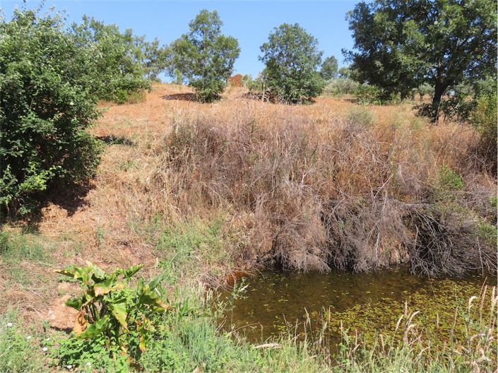 Image No.43-Property for sale