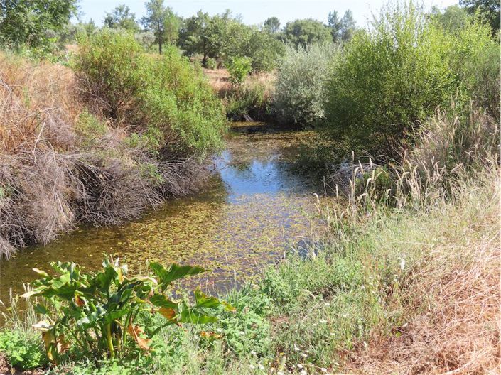 Image No.44-Property for sale