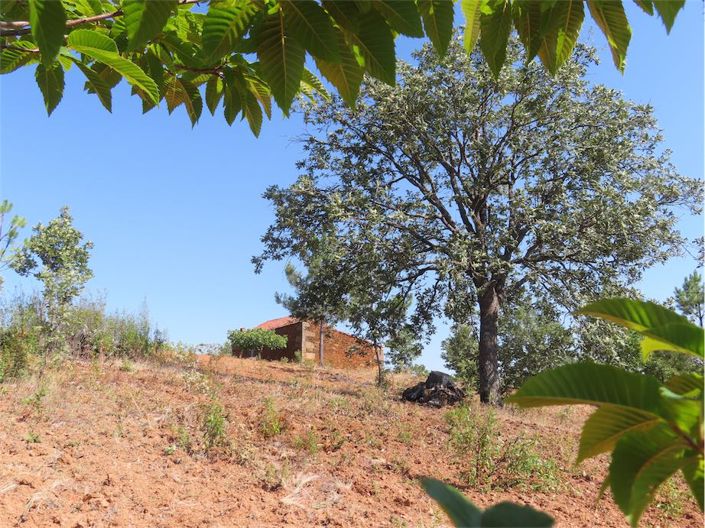 Image No.47-Property for sale