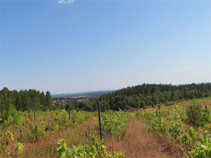 Image No.5-Property for sale