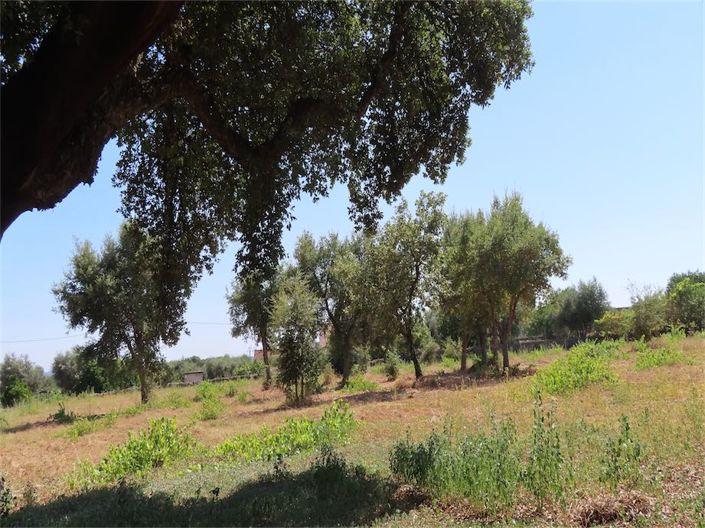 Image No.10-Property for sale