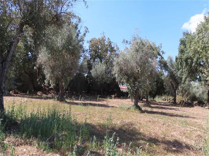 Image No.12-Property for sale