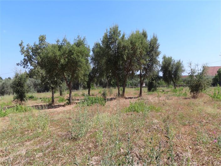 Image No.14-Property for sale