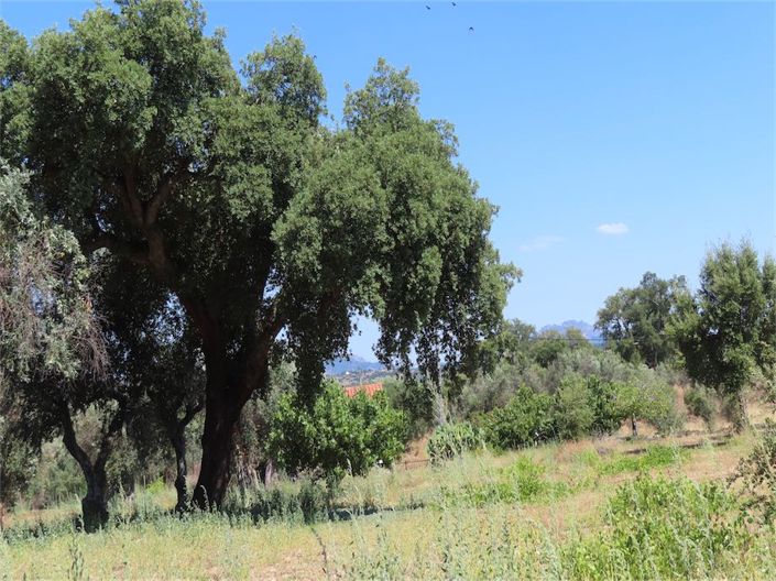 Image No.15-Property for sale