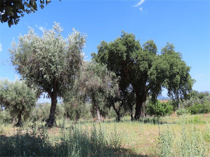 Image No.16-Property for sale