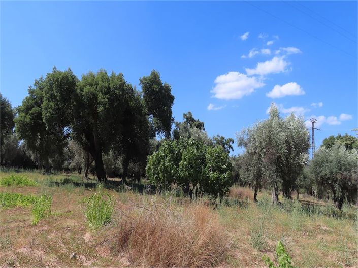 Image No.24-Property for sale