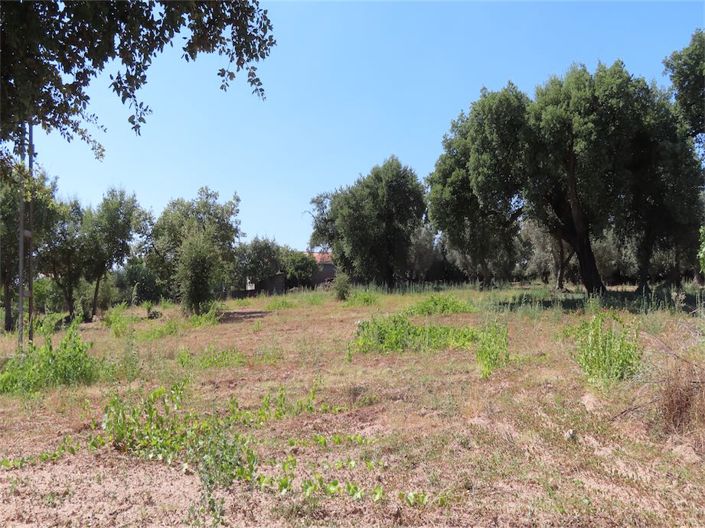 Image No.25-Property for sale