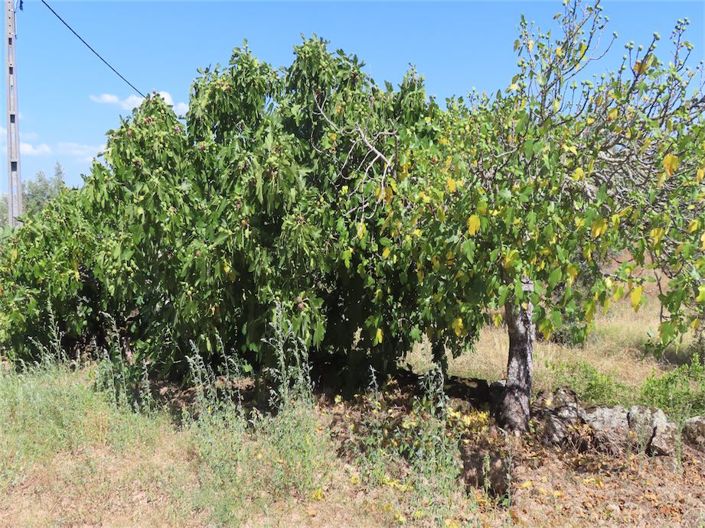 Image No.26-Property for sale