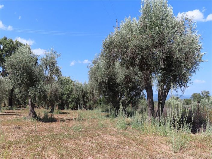 Image No.4-Property for sale