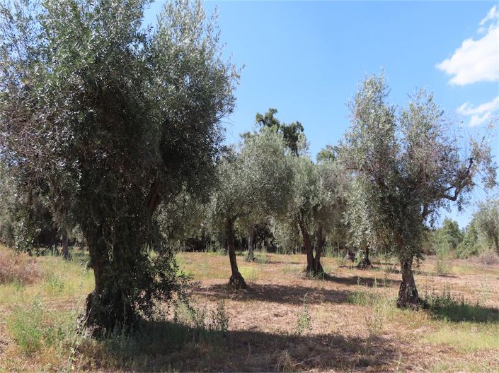 Image No.5-Property for sale