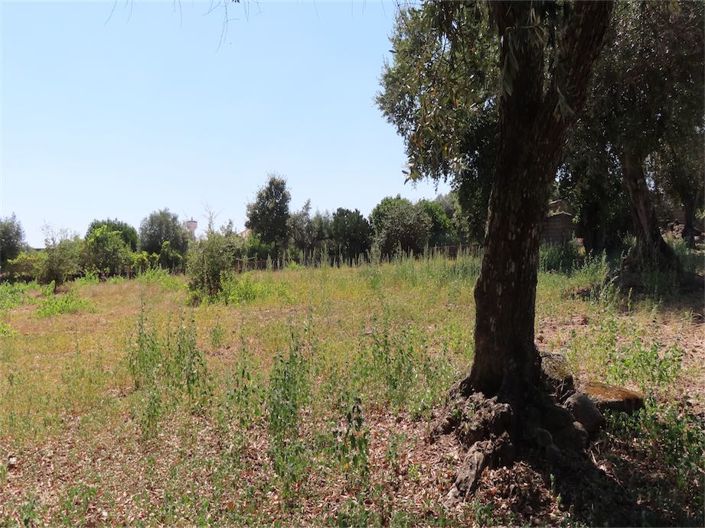 Image No.9-Property for sale