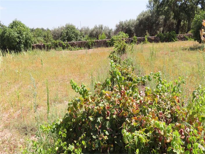 Image No.18-Property for sale